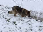 IMG_3469.jpg
