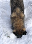 IMG_3613.jpg