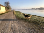 IMG_4661.jpg