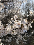 IMG_4691.jpg