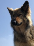 IMG_4722.jpg