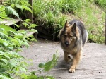 IMG_5451.jpg