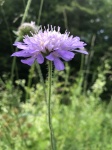 IMG_5744.jpg