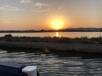 IMG_6035.jpg