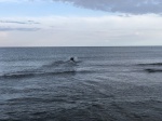 IMG_6183.jpg