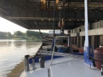 IMG_6703.jpg