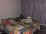 6bb8d63caf60db87-photo.jpg