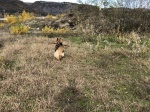853b37c746d49455-photo.jpg