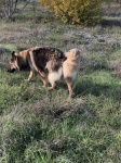 46fc636671addb29-photo.jpg