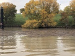 d92c78e8368d3585-photo.jpg