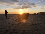 3b87b02da82efde8-photo.jpg