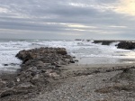 fa0f7fdc3646c256-photo.jpg