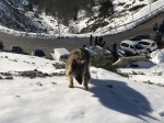 f974d4c54fe45c0e-photo.jpg